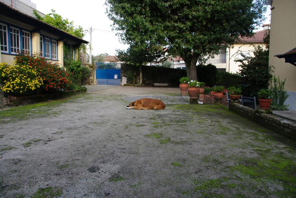 Tapada Flats Apartman Viseu Kültér fotó