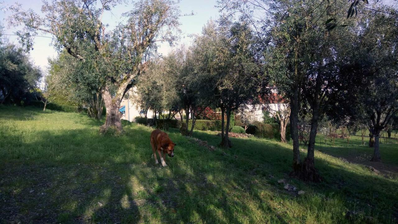 Tapada Flats Apartman Viseu Kültér fotó